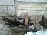 2013-03-27 18.38.45.webp