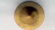 bridle rosette.webp