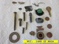 0406NUT.webp