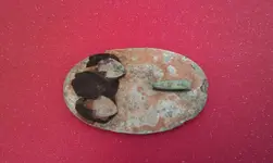 3-24-13plateback.webp