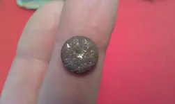 3-24-13buttonid.webp