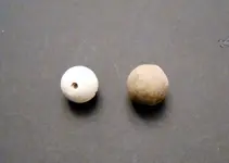 DSCN0542.webp