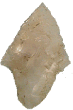 adena46.gif
