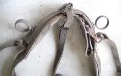 horsegear_US-accouterment-rosette_three-tabs_on-harness-with-reinguides_view9_Ebay_403259954.webp