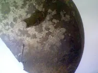 Photo on 2013-04-01 at 15.37 #2.webp