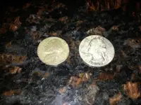 silver quarter.webp