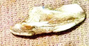 Arkie_finds_1b.webp