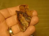 DSC00082.webp