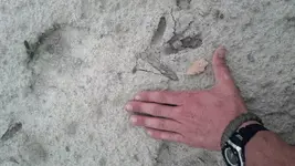 ForumRunner_20130418_012504.webp
