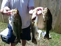 image-3009509147.webp