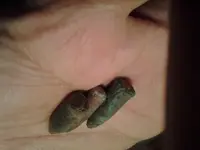 20130312_202245.webp
