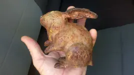 rabbit.webp