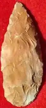 LermaWA2.webp