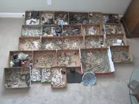 2012-13 finds1.webp