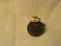 DSC00107.webp