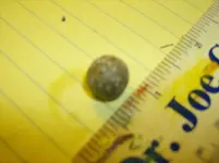 029.webp 029.webp