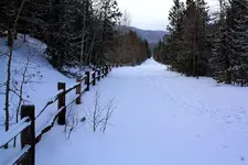 4-18c.webp