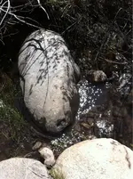image-1894175838.webp