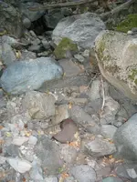 170_7004.webp