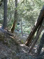 170_7033.webp