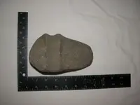 DSCN0384.webp