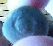 IMG_20130318_155706.webp