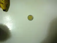 euro.webp