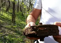 20130417_170238.webp