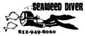 seaweed_new_logo_xxsm.webp