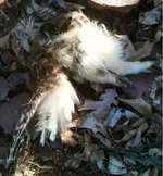 image-100248042.webp image-100248042.webp