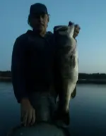 10'3.webp