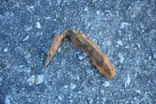 _DSC0007 - Copy.webp