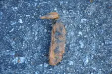 _DSC0008 - Copy.webp