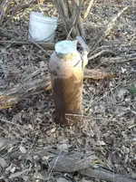 20130305_165733.webp