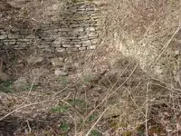 hole 001.webp