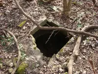 hole 005.webp