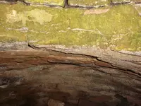 hole 008.webp