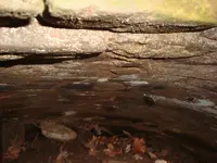 hole 009.webp