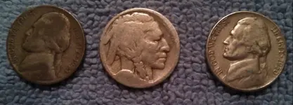silver, buffalo, 1950-D.webp