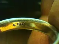 wl.plat.webp