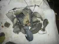 20130418_133411.webp