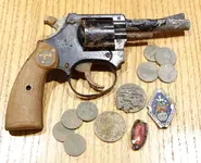 detector finds 28 mar 2013.webp
