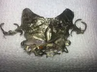 20130418_125146.webp