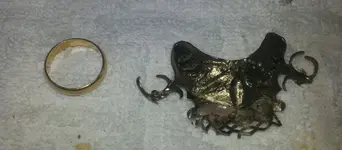 20130418_133254.webp