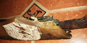 shipwreck musket remains 1b Bottom 2 RESIZED.webp shipwreck musket remains 1b Bottom 2 RESIZED.webp