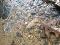 ForumRunner_20130323_141622.webp