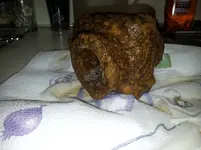 untitled5.webp