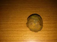 image-30496804.webp