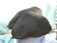carbon m2.webp