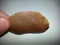20130328_081207.webp